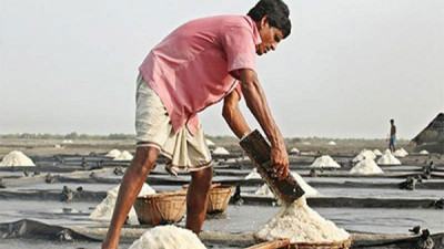 লবণ মিল মালিকদের দৌরাত্ম্যে অসহায় কক্সবাজারের লবণ চাষীরা