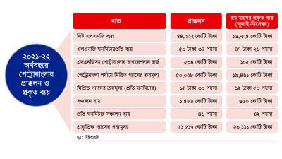 গ্যাস সরবরাহে ৮৩ শতাংশ অর্থই ব্যয় হচ্ছে এলএনজিতে