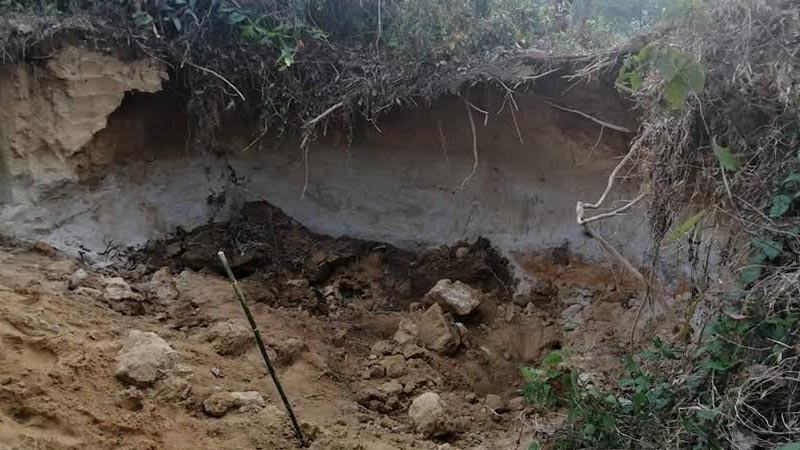 পাখি দেখতে গিয়ে মাটিচাপায় ৩ শিশুর মৃত্যু