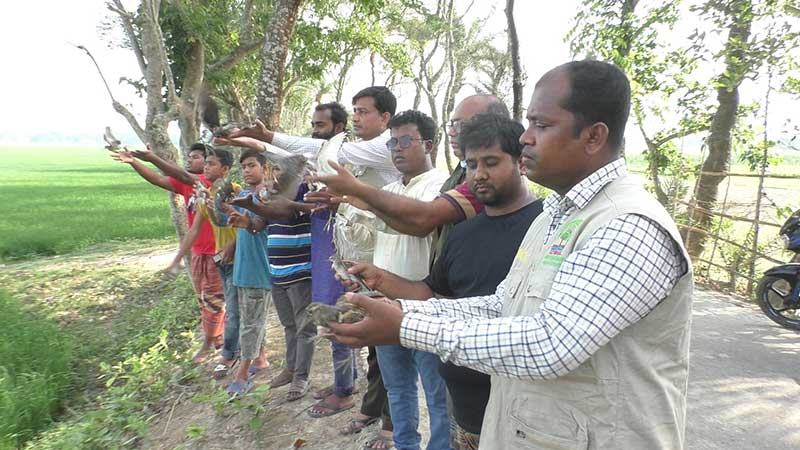 ঝিনাইদহে শিকারিদের হাত থেকে উদ্ধার পাখি অবমুক্ত