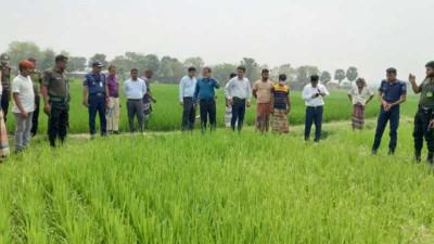রাজশাহীতে দুই কৃষকের আত্মহত্যা তদন্তে কৃষি মন্ত্রণালয়