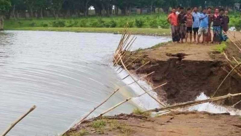 বন্যার আগেই ভেঙে গেল সুনামগঞ্জে হাওরের বাঁধ