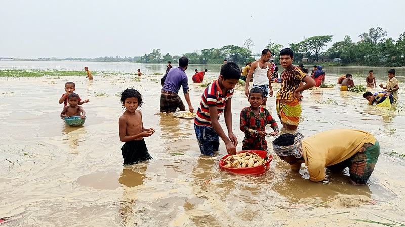 তলিয়ে গেছে সাদাপাথর, জাফলং ও বিছানাকান্দি, বাড়ছে নদ-নদীর পানি