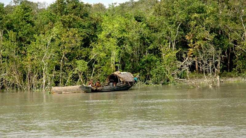 সুন্দরবনে বিষ দিয়ে মাছ ধরার সময় আটক ১২