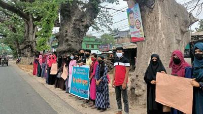 কালীগঞ্জে শতবর্ষী কড়ইগাছ রক্ষার দাবি