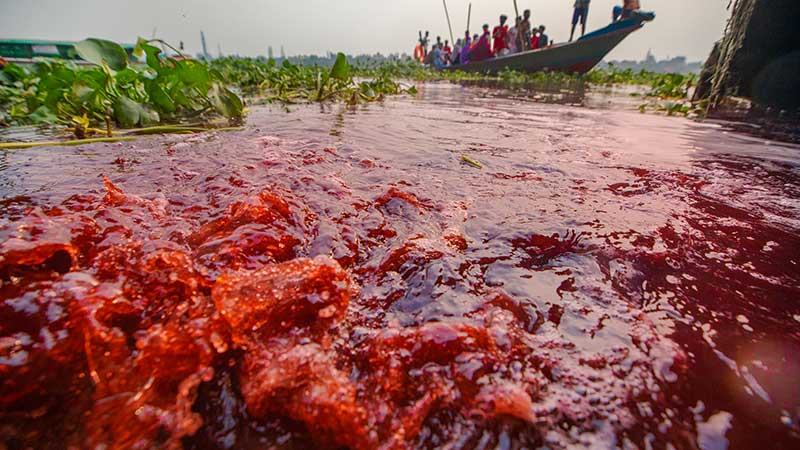 ঢাকায় সবচেয়ে দূষিত কেরানীগঞ্জের কৃষিজমি