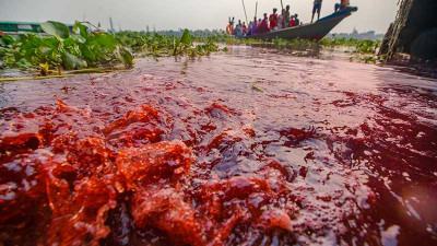 ঢাকায় সবচেয়ে দূষিত কেরানীগঞ্জের কৃষিজমি