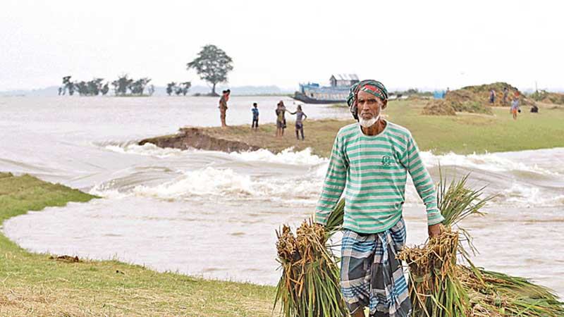 হাওরে ঘুম নেই কৃষকের আবহাওয়ার খবরে স্বস্তি
