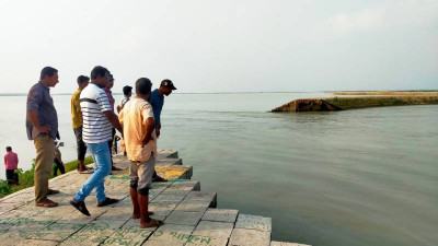 ডিঙ্গাপোতা হাওরের উচু জমির ফসল নষ্টের আশঙ্কা