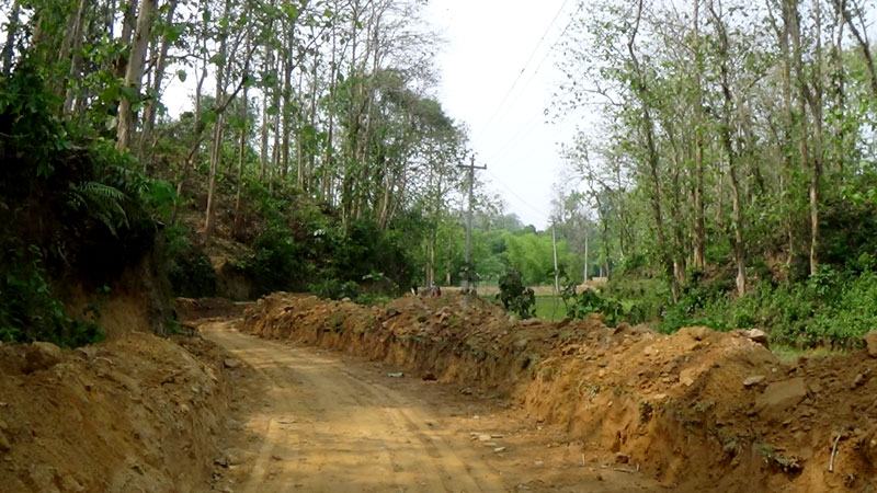 সংরক্ষিত বনে পাকা রাস্তা নির্মাণ করছে এলজিইডি