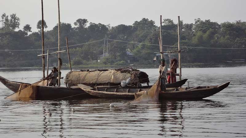 কাপ্তাই হ্রদে কমছে মাছ উৎপাদন