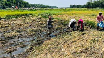 রোহিঙ্গা ক্যাম্পের বর্জ্য অপসারণের নির্দেশনা