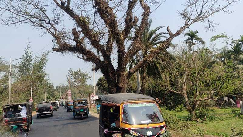 অনুমোদনহীন যানবাহনের বেপরোয়া চলাচল
