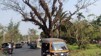 অনুমোদনহীন যানবাহনের বেপরোয়া চলাচল