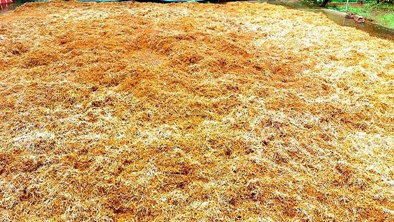 ফুটে উঠছে ক্ষতচিহ্ন, লণ্ডভণ্ড গ্রামীণ অবকাঠামো
