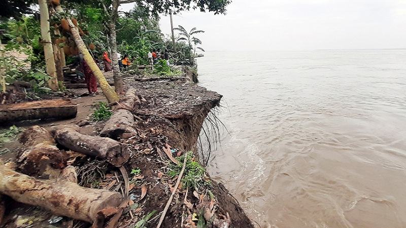  দুই দিনেই বিলীন তিন শতাধিক ঘরবাড়ি