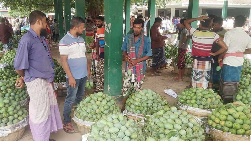 ভোলাহাটে আমের বাজারে জমে ওঠেনি বেচাকেনা