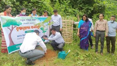 বান্দরবানে পর্যটক আকর্ষণে সড়কের পাশে বৃক্ষ রোপণ