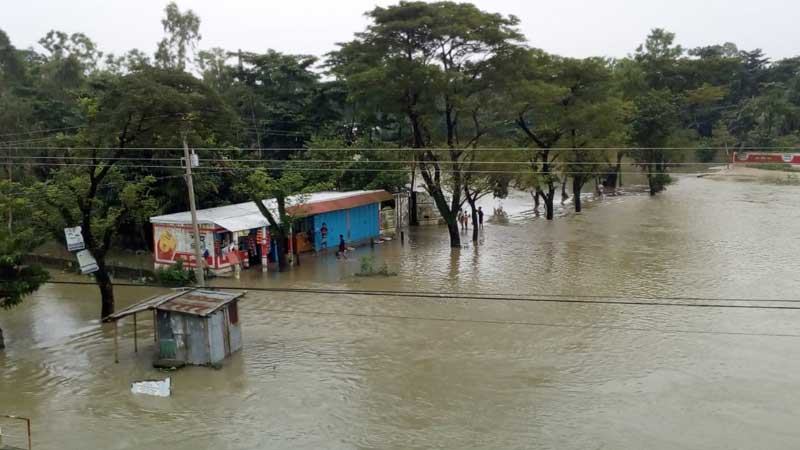 সিলেটে ৮৮ হাজার হেক্টর ফসলি জমি পানির নিচে