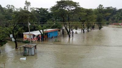 সিলেটে ৮৮ হাজার হেক্টর ফসলি জমি পানির নিচে