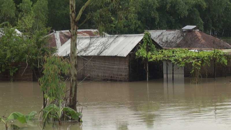 কুড়িগ্রামে দ্বিতীয় দফা বন্যায় পানিবন্দি ২০ হাজার মানুষ