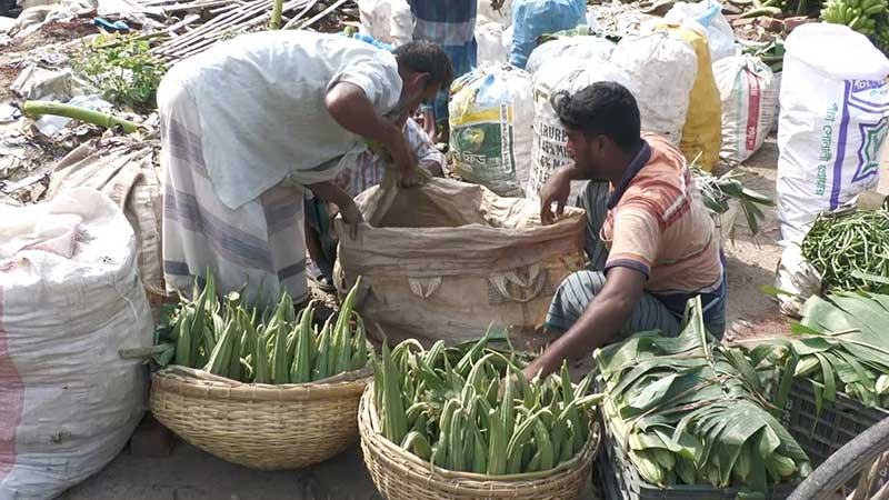 ঝিনাইদহের সবজি চাষীরাও পাচ্ছেন পদ্মা সেতুর সুফল