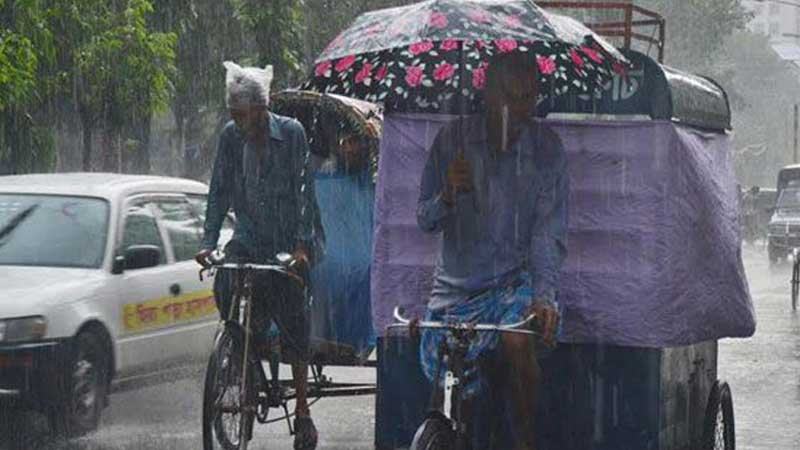 বোরো বীজ সংগ্রহের লক্ষ্যমাত্রা পূরণে সংশয়