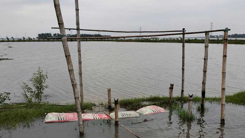 বগুড়ায় বন্যায় ভেসে গিয়েছে ৭৮ পুকুরের মাছ