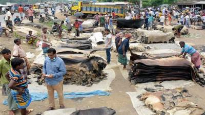 যশোরের রাজারহাটে একদিনে কোটি টাকার চামড়া বিক্রি