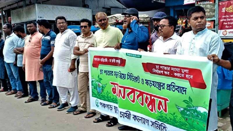পঞ্চগড়ে চা চাষী ও বাগান মালিকদের মানববন্ধন