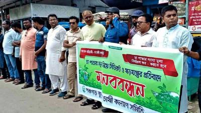 পঞ্চগড়ে চা চাষী ও বাগান মালিকদের মানববন্ধন