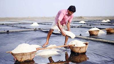 লবণের বাজারে তীব্র হতে পারে অস্থিতিশীলতা