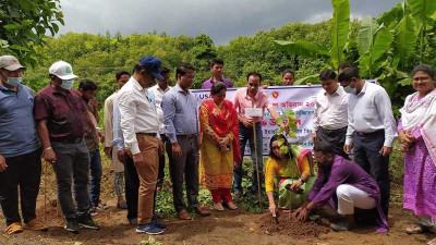 বান্দরবানে ১০ কিলোমিটার সড়কে চারা রোপণ