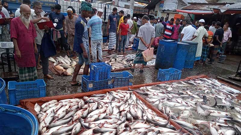 বরিশালের নদনদীতে ভরা মৌসুমেও ইলিশ মিলছে না