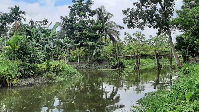 ঝালকাঠির কাফড়কাঠি গ্রামে গড়ে ওঠেনি সড়ক যোগাযাগ