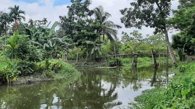 ঝালকাঠির কাফড়কাঠি গ্রামে গড়ে ওঠেনি সড়ক যোগাযাগ