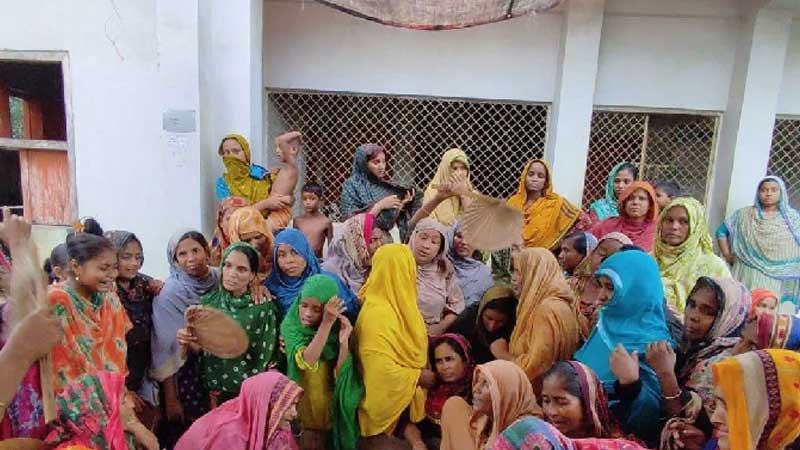 চুয়াডাঙ্গায় সাপের ছোবলে দুই শিক্ষার্থীর মৃত্যু
