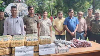 বেনাপোলে আমদানি পণ্যের সঙ্গে ফেনসিডিল ও নিষিদ্ধ ওষুধ
