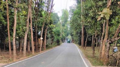 ব্রাহ্মণবাড়িয়ায় সড়ক উন্নয়নে আরো ১০ কোটি ৬২ লাখ টাকা বরাদ্দ
