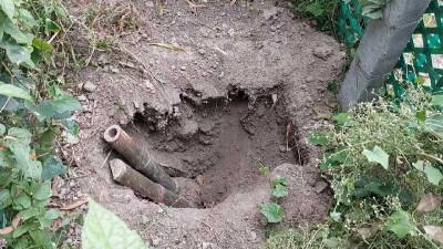 মানিকগঞ্জে এক রাতে ১২টি কঙ্কাল চুরি