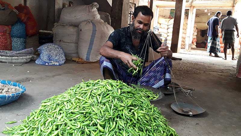 বগুড়ায় বাম্পার ফলনেও কাঁচামরিচের দাম চড়া