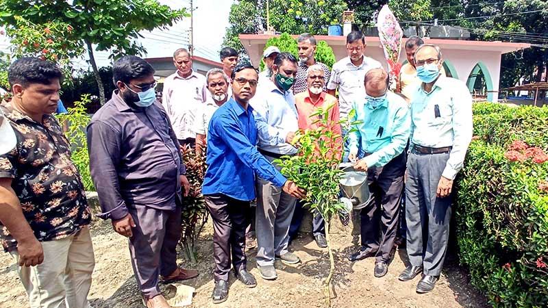 জয়পুরহাটে এলজিইডির বৃক্ষ রোপণ কর্মসূচি