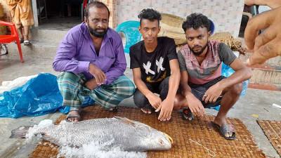 এক ভোল মাছের দাম ১ লাখ ৯০ হাজার টাকা