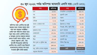 অর্থনীতিতে বড় চাপ, ৩৪ বিলিয়ন ডলারের অনিষ্পন্ন আমদানি দায়