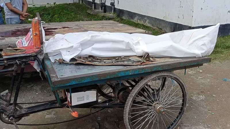 ঝালকাঠিতে বিদ্যুতের খুঁটি থেকে পড়ে শ্রমিকের মৃত্যু