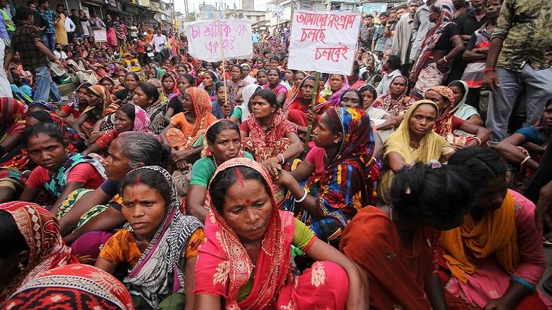 মৌলভীবাজারে আন্দোলন প্রত্যাহার, বাগানে ফিরছেন চা শ্রমিকরা