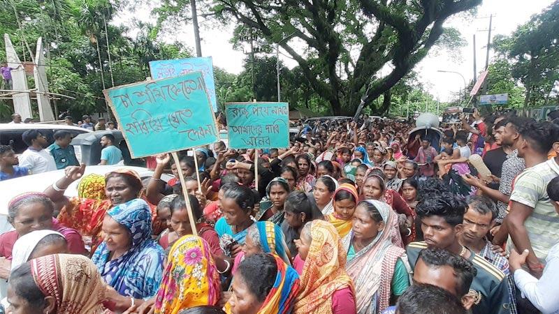 কর্মবিরতি চালিয়ে যাওয়ার ঘোষণা চা-শ্রমিকদের