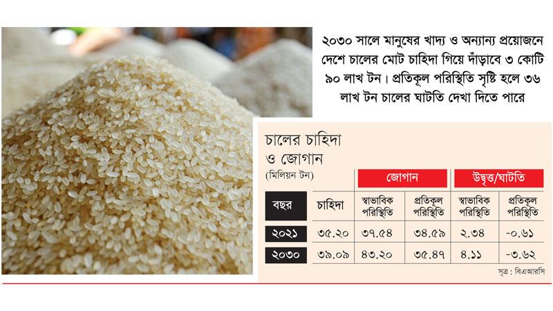 ২০৩০ সালে চালের ঘাটতি ছাড়াতে পারে ৩৬ লাখ টন