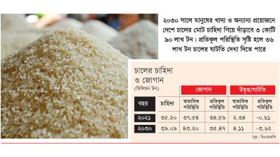 ২০৩০ সালে চালের ঘাটতি ছাড়াতে পারে ৩৬ লাখ টন