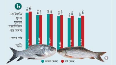 পাঁচ বছর ধরে রুই কাতলার দাম একই